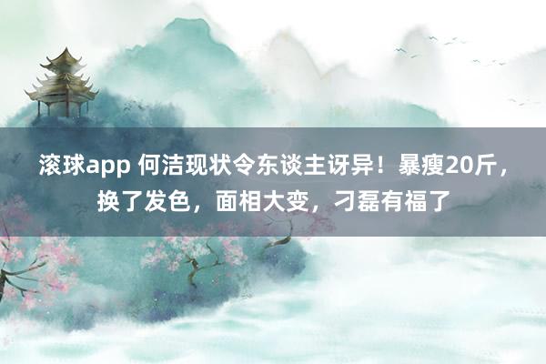 滚球app 何洁现状令东谈主讶异！暴瘦20斤，换了发色，面相大变，刁磊有福了