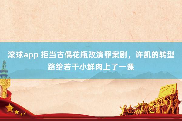 滚球app 拒当古偶花瓶改演罪案剧，许凯的转型路给若干小鲜肉上了一课