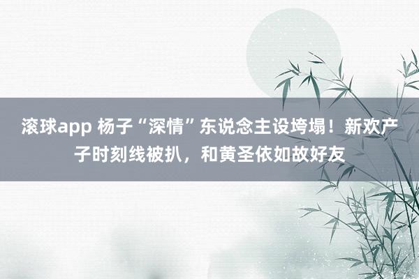 滚球app 杨子“深情”东说念主设垮塌！新欢产子时刻线被扒，和黄圣依如故好友