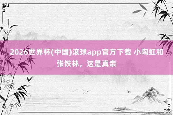 2026世界杯(中国)滚球app官方下载 小陶虹和张铁林,这是真亲