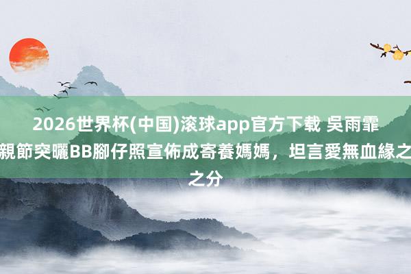 2026世界杯(中国)滚球app官方下载 吳雨霏母親節突曬BB腳仔照宣佈成寄養媽媽，坦言愛無血緣之分