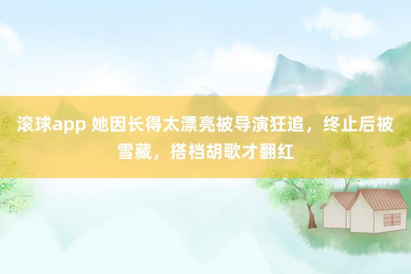 滚球app 她因长得太漂亮被导演狂追，终止后被雪藏，搭档胡歌才翻红