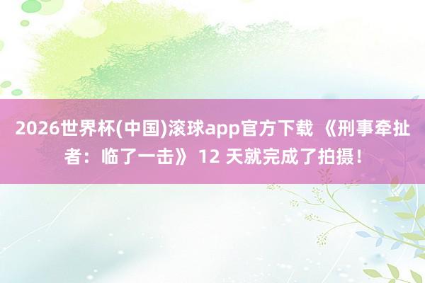 2026世界杯(中国)滚球app官方下载 《刑事牵扯者：临了一击》 12 天就完成了拍摄！