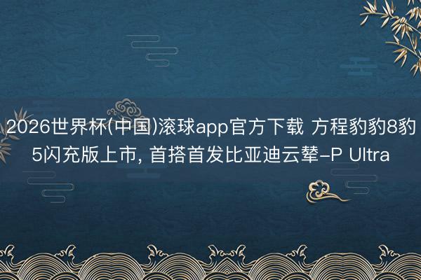 2026世界杯(中国)滚球app官方下载 方程豹豹8豹5闪充版上市， 首搭首发比亚迪云辇-P Ultra