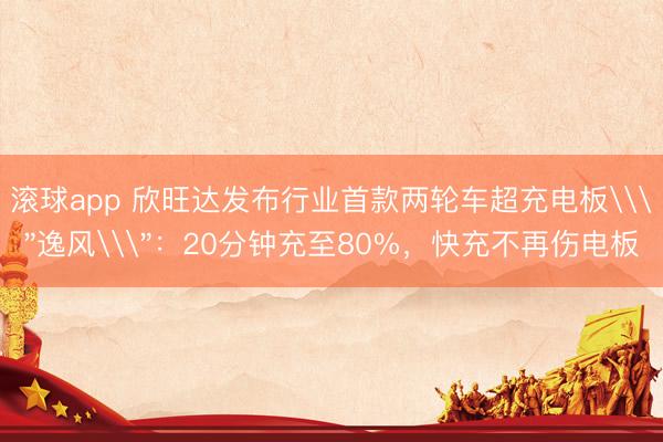 滚球app 欣旺达发布行业首款两轮车超充电板\