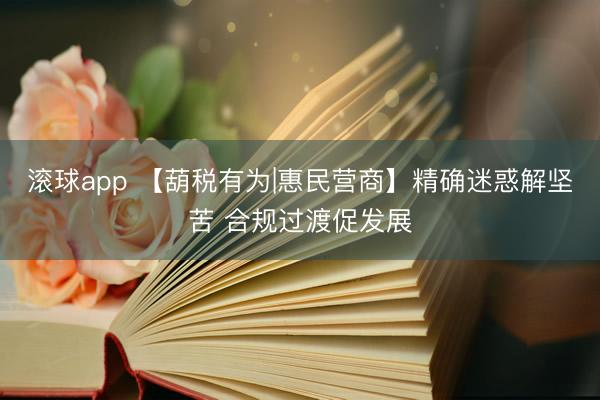 滚球app 【葫税有为|惠民营商】精确迷惑解坚苦 合规过渡促发展