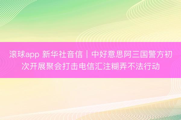 滚球app 新华社音信｜中好意思阿三国警方初次开展聚会打击电信汇注糊弄不法行动