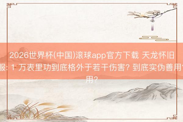2026世界杯(中国)滚球app官方下载 天龙怀旧服: 1 万表里功到底格外于若干伤害? 到底实伪善用?