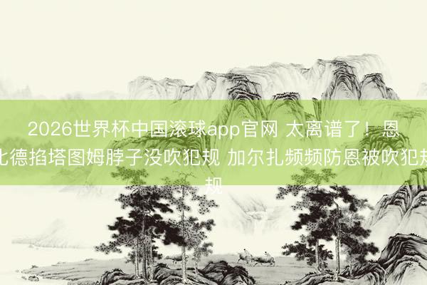 2026世界杯中国滚球app官网 太离谱了！恩比德掐塔图姆脖子没吹犯规 加尔扎频频防恩被吹犯规