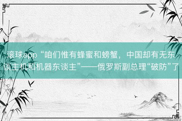 滚球app “咱们惟有蜂蜜和螃蟹，中国却有无东谈主机和机器东谈主”——俄罗斯副总理“破防”了