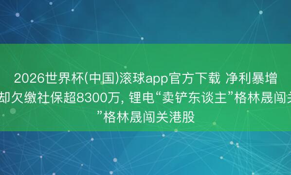 2026世界杯(中国)滚球app官方下载 净利暴增1.7倍却欠缴社保超8300万， 锂电“卖铲东谈主”格林晟闯关港股
