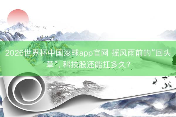 2026世界杯中国滚球app官网 摇风雨前的“回头草”, 科技股还能扛多久?