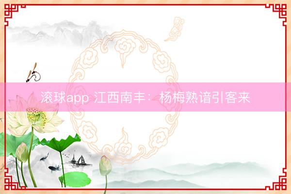 滚球app 江西南丰：杨梅熟谙引客来