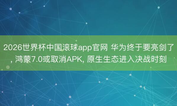 2026世界杯中国滚球app官网 华为终于要亮剑了， 鸿蒙7.0或取消APK， 原生生态进入决战时刻