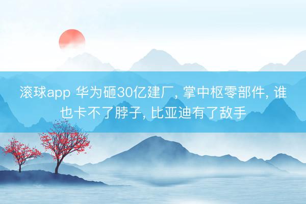 滚球app 华为砸30亿建厂， 掌中枢零部件， 谁也卡不了脖子， 比亚迪有了敌手