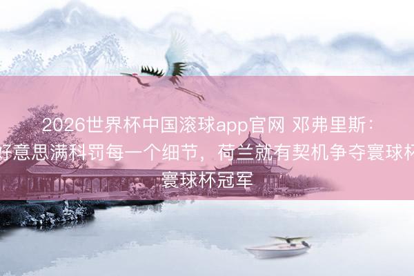 2026世界杯中国滚球app官网 邓弗里斯:唯有好意思满科罚每一个细节,荷兰就有契机争夺寰球杯冠军