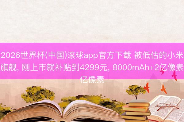 2026世界杯(中国)滚球app官方下载 被低估的小米旗舰， 刚上市就补贴到4299元， 8000mAh+2亿像素