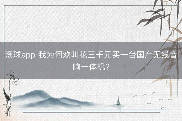 滚球app 我为何欢叫花三千元买一台国产无线音响一体机?