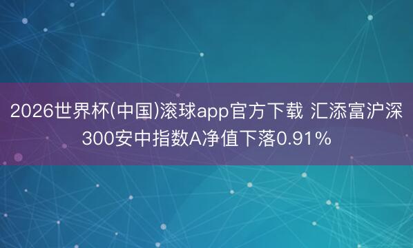 2026世界杯(中国)滚球app官方下载 汇添富沪深300安中指数A净值下落0.91%