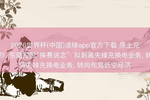 2026世界杯(中国)滚球app官方下载 原土充换电市集竞争热烈， 东莞控股“换赛说念”: 拟剥离失掉充换电业务， 转向布局低空经济