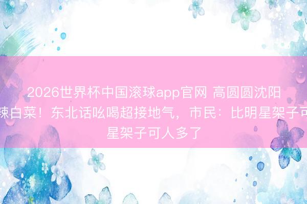 2026世界杯中国滚球app官网 高圆圆沈阳摆摊卖辣白菜！东北话吆喝超接地气，市民：比明星架子可人多了