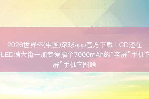 2026世界杯(中国)滚球app官方下载 LCD还在用， OLED满大街一加专爱搞个7000mAh的“老屏”手机它图啥