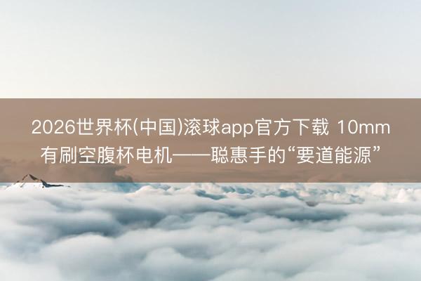 2026世界杯(中国)滚球app官方下载 10mm有刷空腹杯电机——聪惠手的“要道能源”
