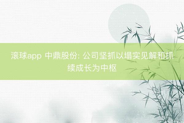 滚球app 中鼎股份: 公司坚抓以塌实见解和抓续成长为中枢