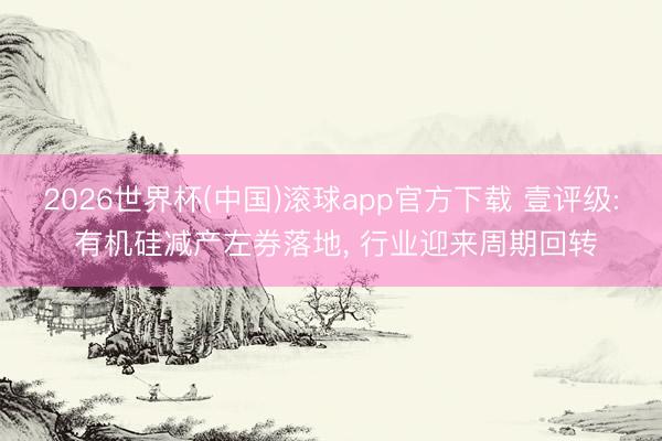 2026世界杯(中国)滚球app官方下载 壹评级: 有机硅减产左券落地， 行业迎来周期回转