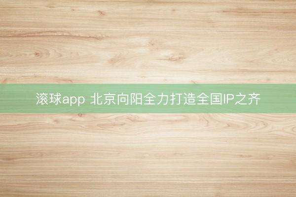 滚球app 北京向阳全力打造全国IP之齐