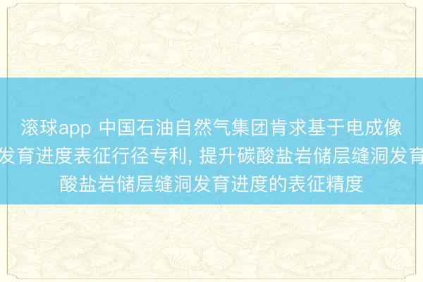 滚球app 中国石油自然气集团肯求基于电成像图像的储层缝洞发育进度表征行径专利， 提升碳酸盐岩储层缝洞发育进度的表征精度