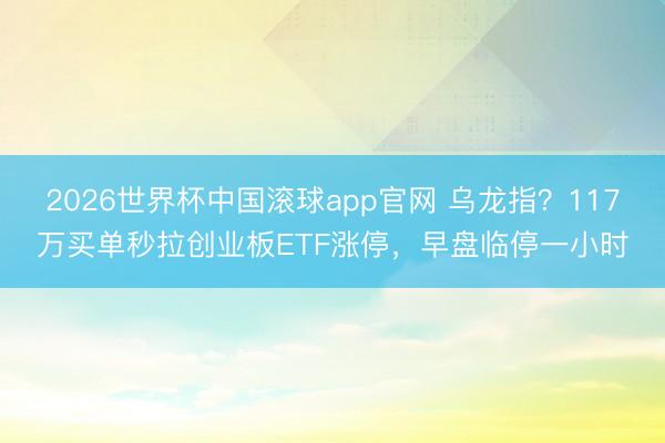 2026世界杯中国滚球app官网 乌龙指？117万买单秒拉创业板ETF涨停，早盘临停一小时