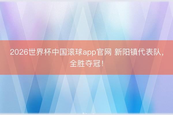 2026世界杯中国滚球app官网 新阳镇代表队，全胜夺冠！