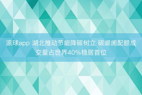滚球app 湖北推动节能降碳树立 碳阛阓配额成交量占世界40%稳居首位