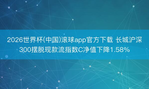 2026世界杯(中国)滚球app官方下载 长城沪深300摆脱现款流指数C净值下降1.58%